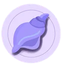 Conch